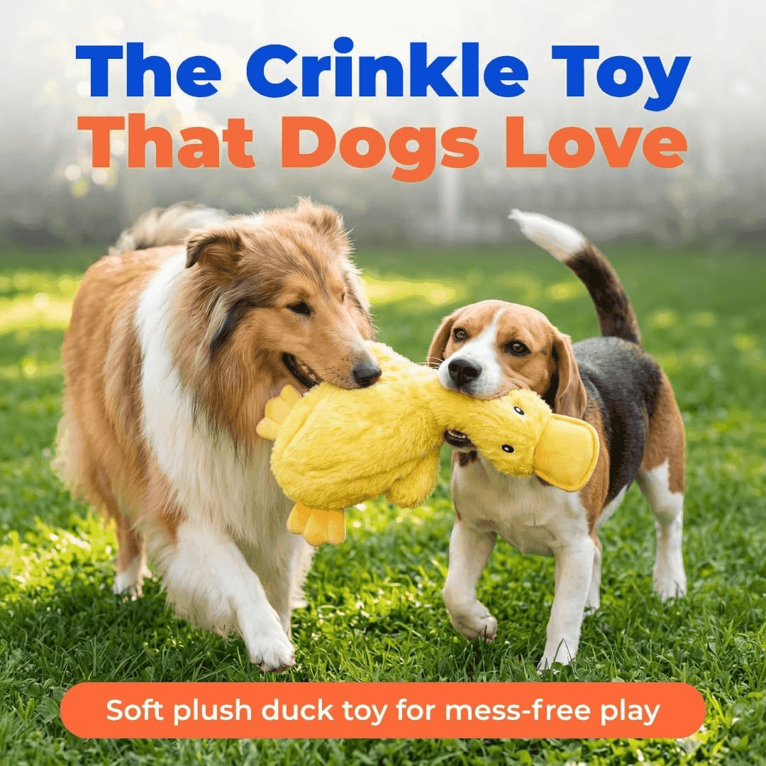 Best Pet Supplies Crinkle Duck Squeaky Dog Toy, Yellow image 2