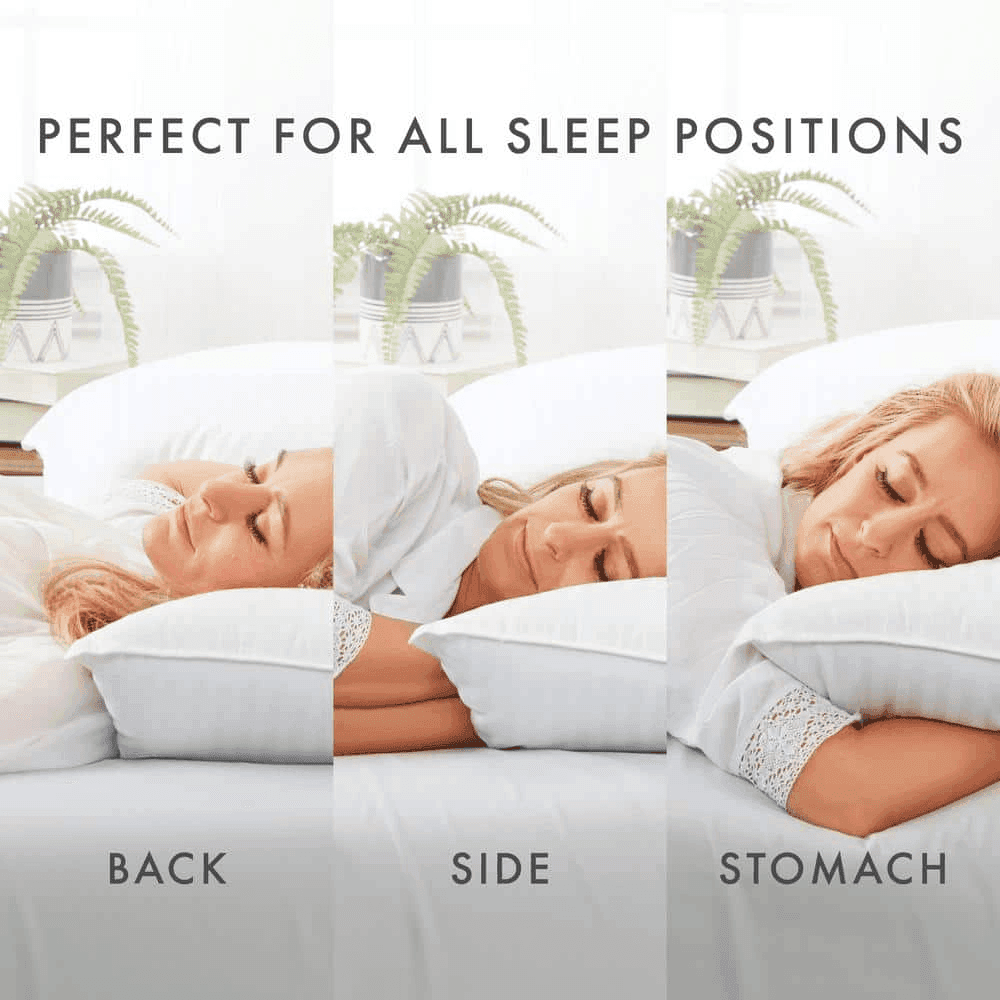 Becky Cameron Gel-Fiber Queen Pillows, 2-Pack image 5