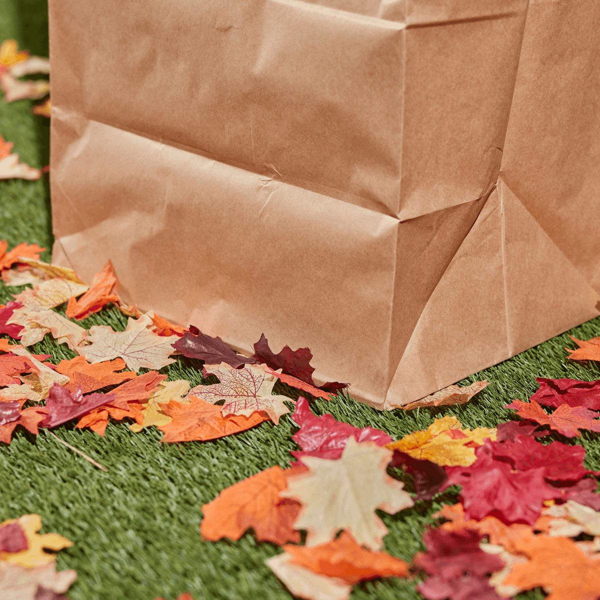 Lowe's 30-Gallon Paper Lawn & Leaf Bags, 5-Count for $2 image 3