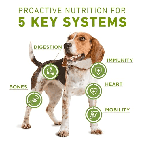 Purina ONE Plus Whole Body Support Dry Dog Food 4 lb for $9.58 image 3