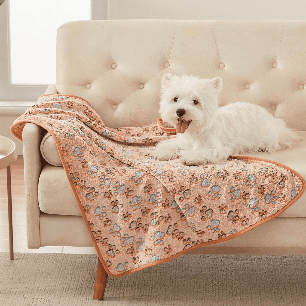 Luciphia 3-Pack Small Pet Fleece Blankets for $8.99 image 3