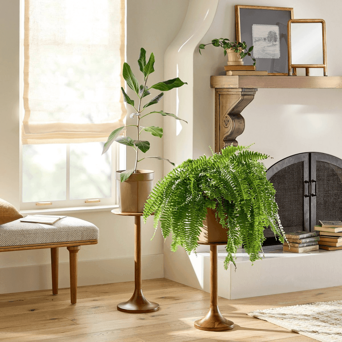 Hearth & Hand with Magnolia Wood Accent Mirror with Brass Feet image 2