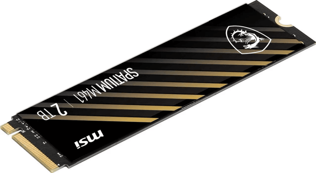 MSI M461 2TB PCIe 4.0 NVMe M.2 Internal SSD image 4