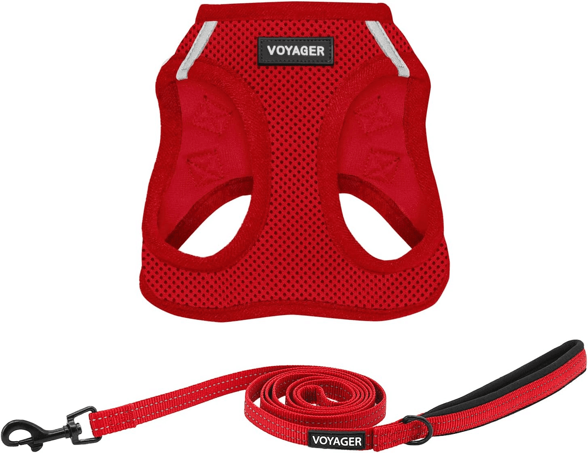 Best Pet Supplies Voyager Harness and 5-Foot Leash Set for $15.19