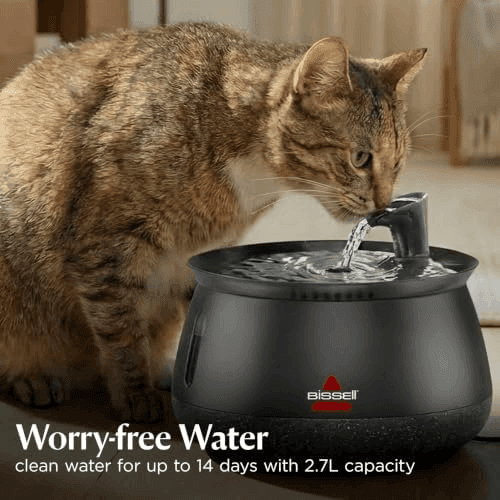 [Prime] BISSELL HydrateWell 91 oz Cat Water Fountain 4408 image 3