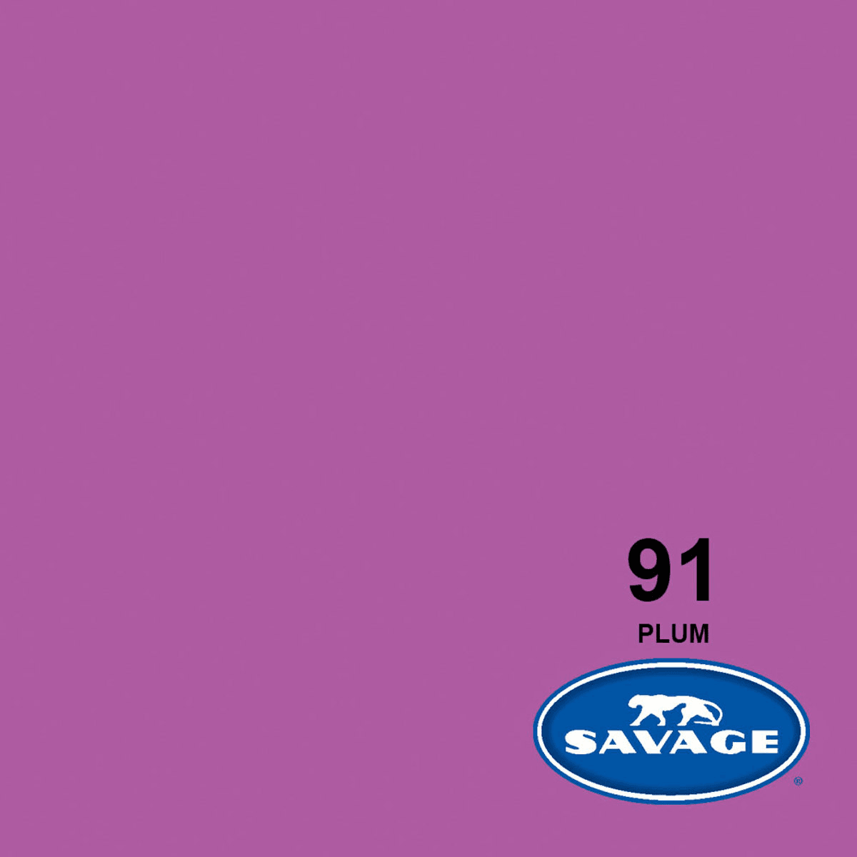 Savage 53 x 36 ft Widetone Seamless Background Paper - Plum image 2