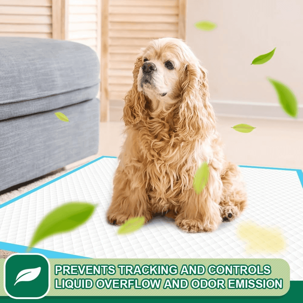 IMMCUTE 22x23-Inch Puppy Training Pads - 100 Count image 4