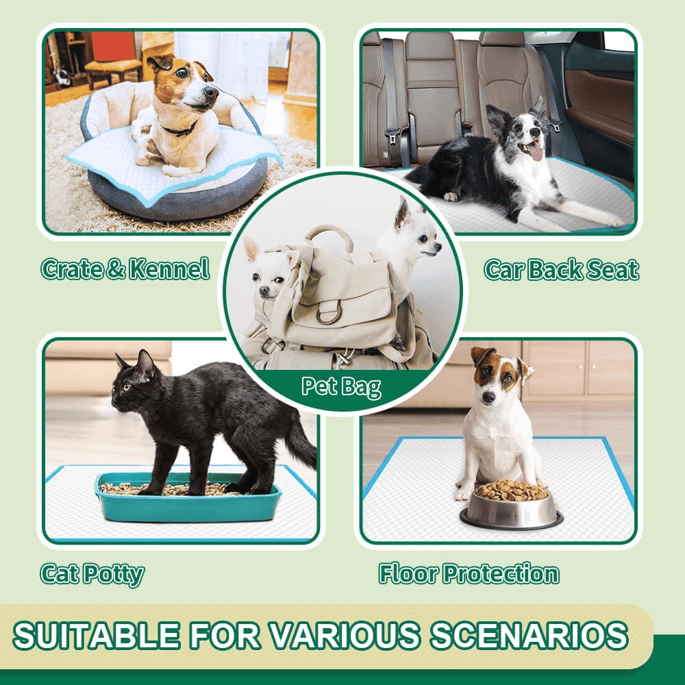 IMMCUTE 22x23-Inch Puppy Training Pads - 100 Count image 5