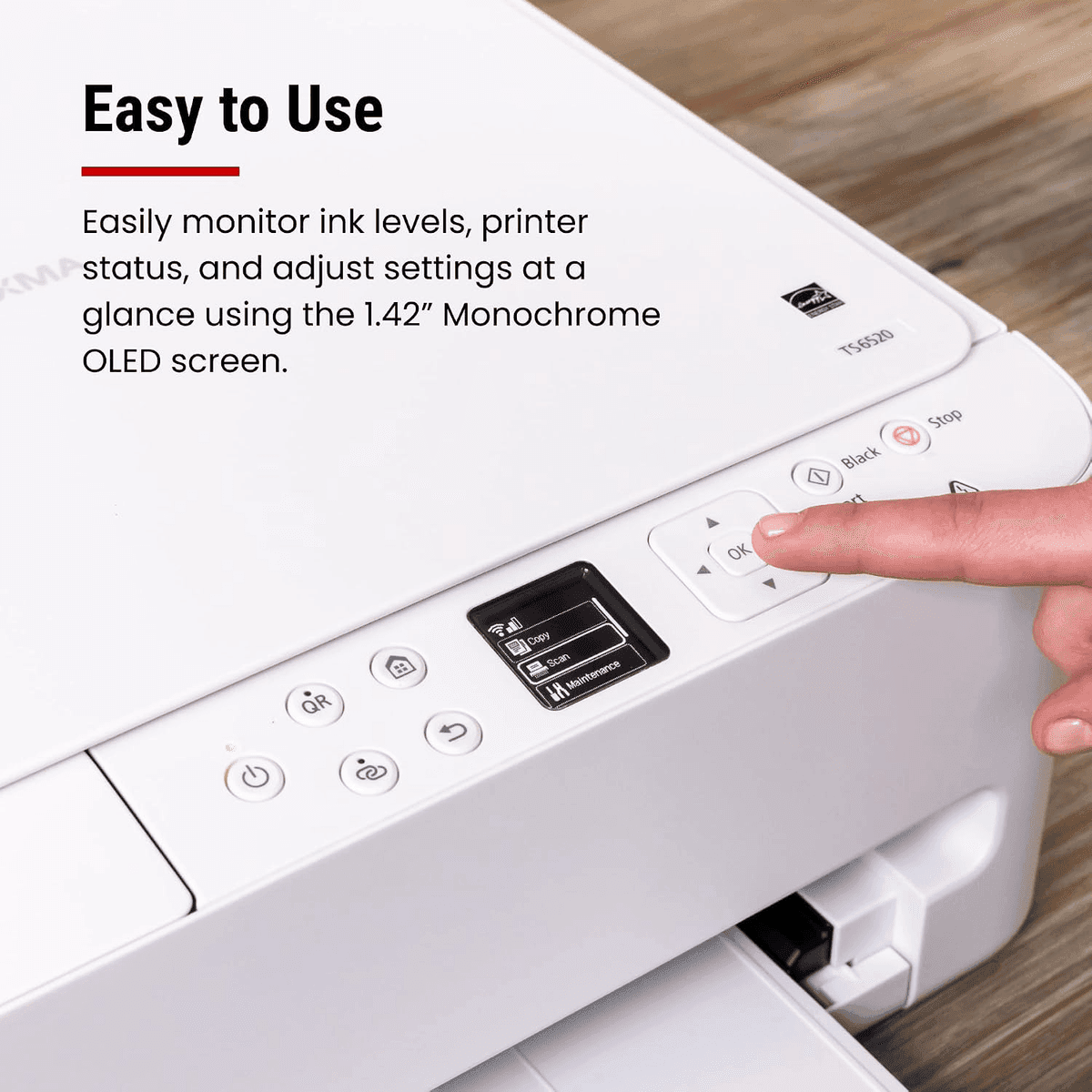 Canon PIXMA TS6520 Wireless Color All-in-One Printer image 4