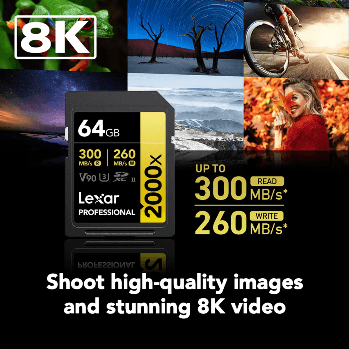 Lexar Professional 2000x 64GB V90 UHS-II SDXC Card image 3