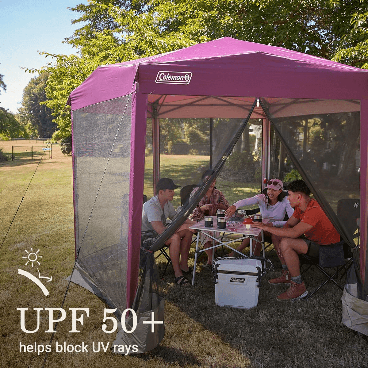 Coleman Back Home Screened Canopy Tent image 5