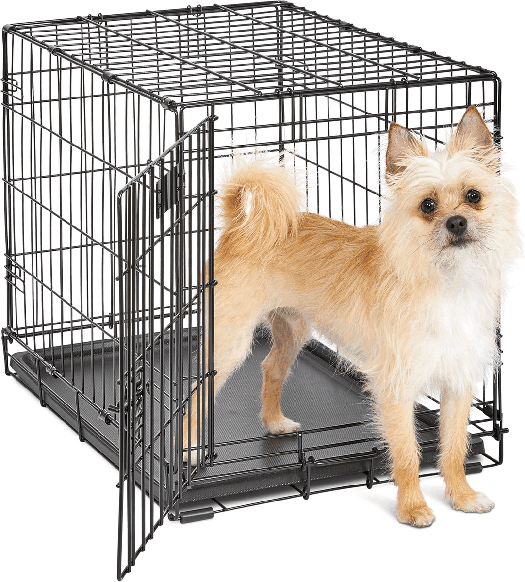 MidWest Homes for Pets 24-Inch Single-Door iCrate - Black