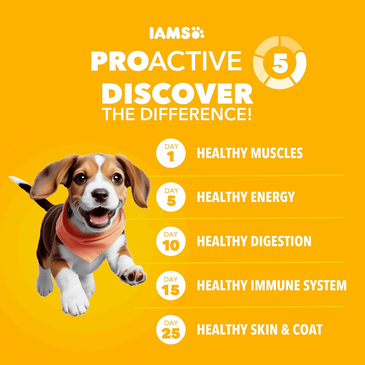 IAMS Proactive Health Large Breed Puppy Dry Dog Food 30.6 lb image 2