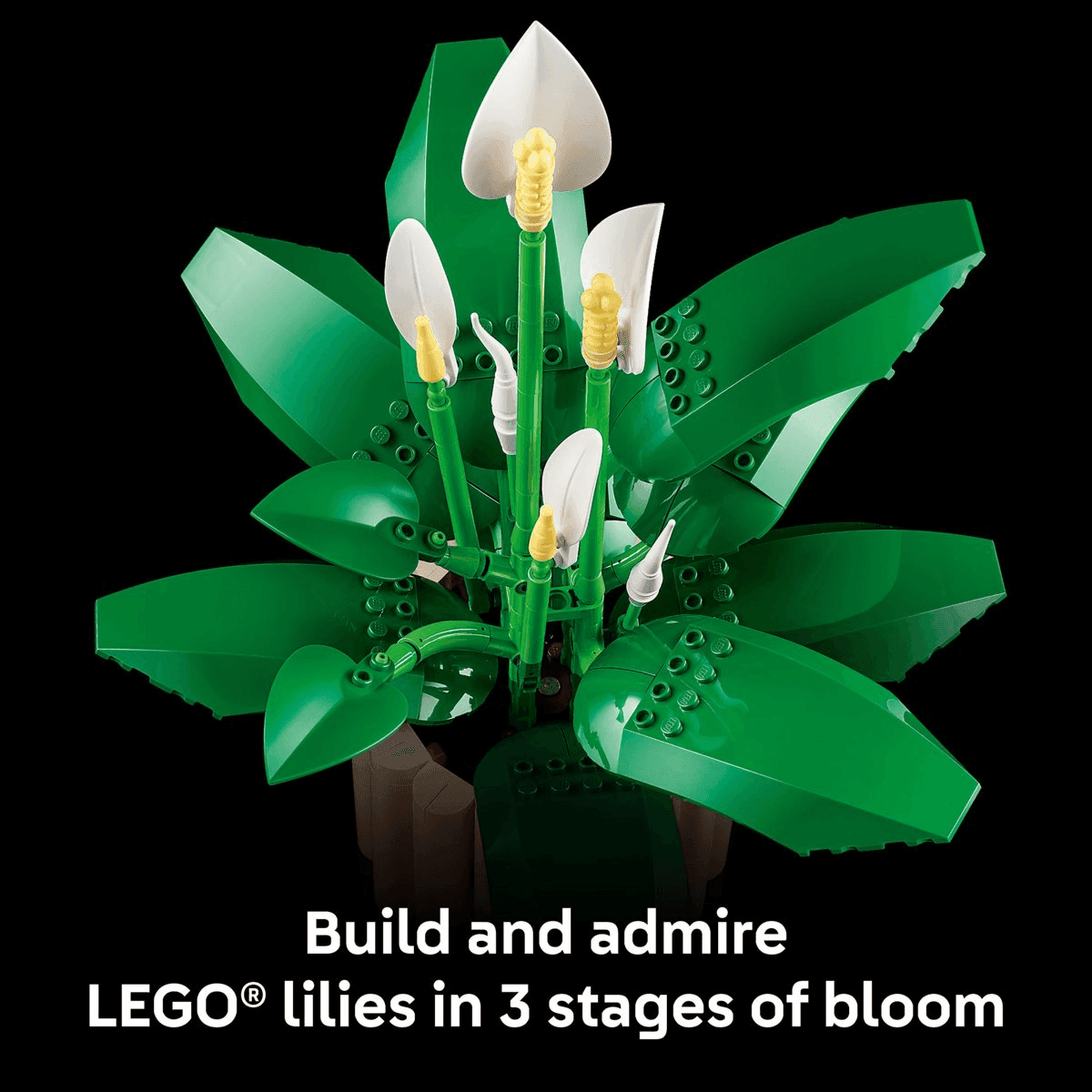LEGO Botanicals Peace Lily Building Set 11504 image 5