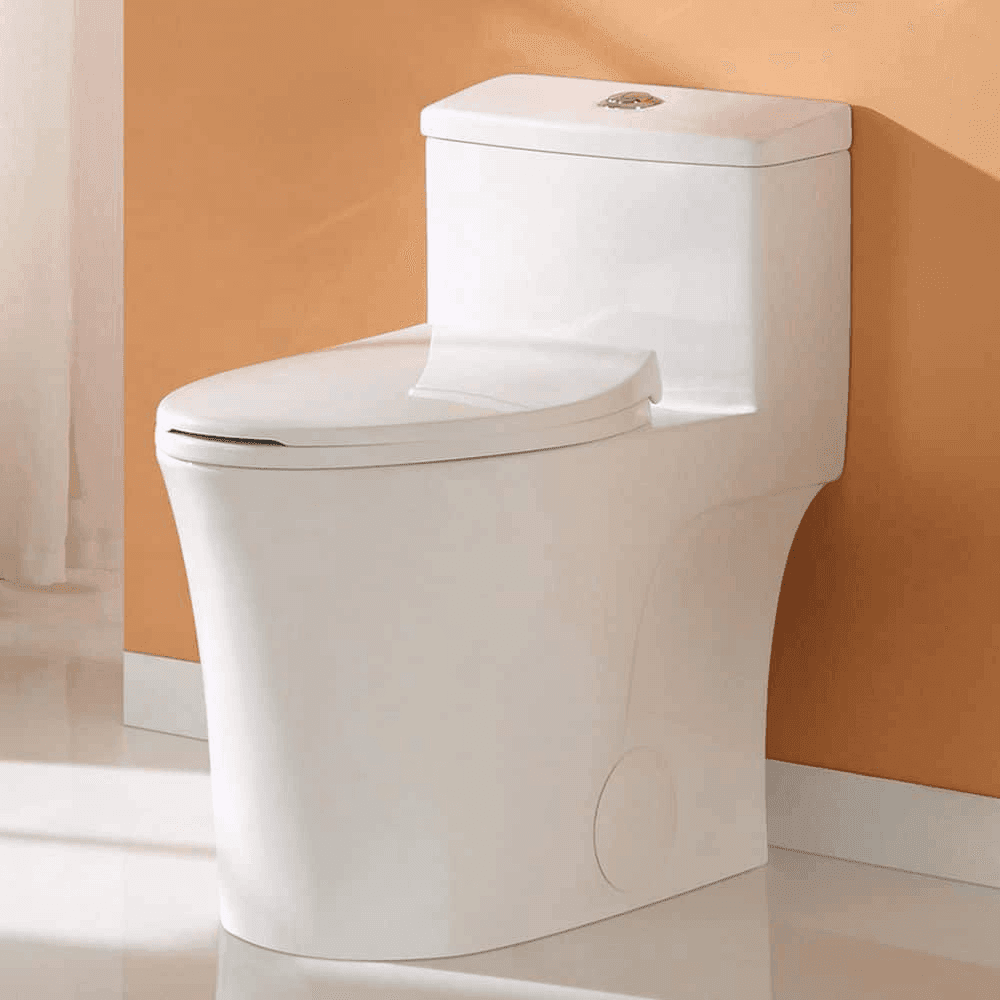 HOROW One-Piece Dual-Flush Elongated Toilet