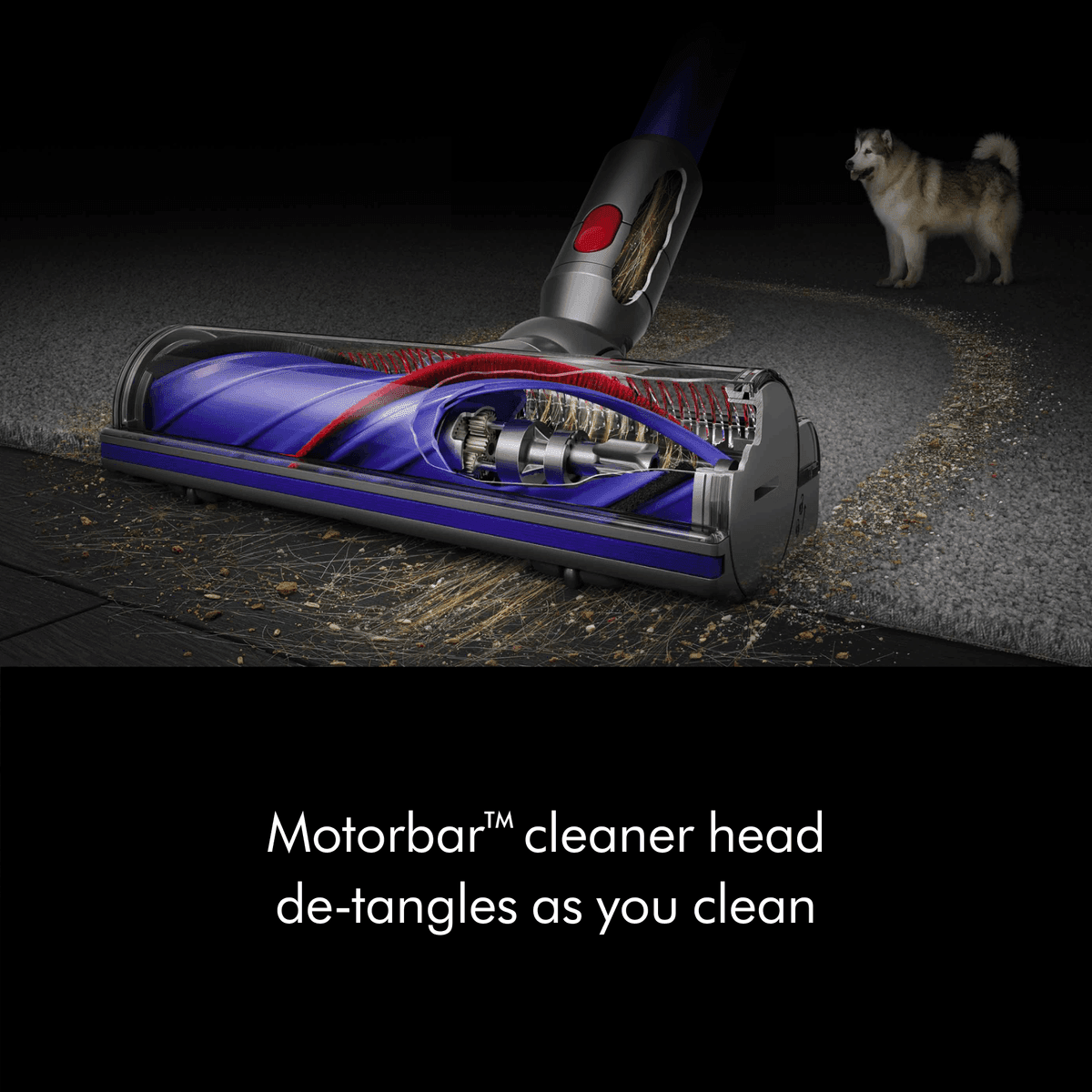 Dyson V8 Origin Extra Cordless Vacuum, Certified Refurbished, Blue image 3