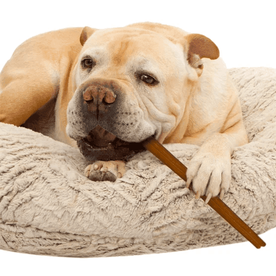 Cadet TORO Bully Hide Dog Chews 9-12 Inch, 24 Count image 2