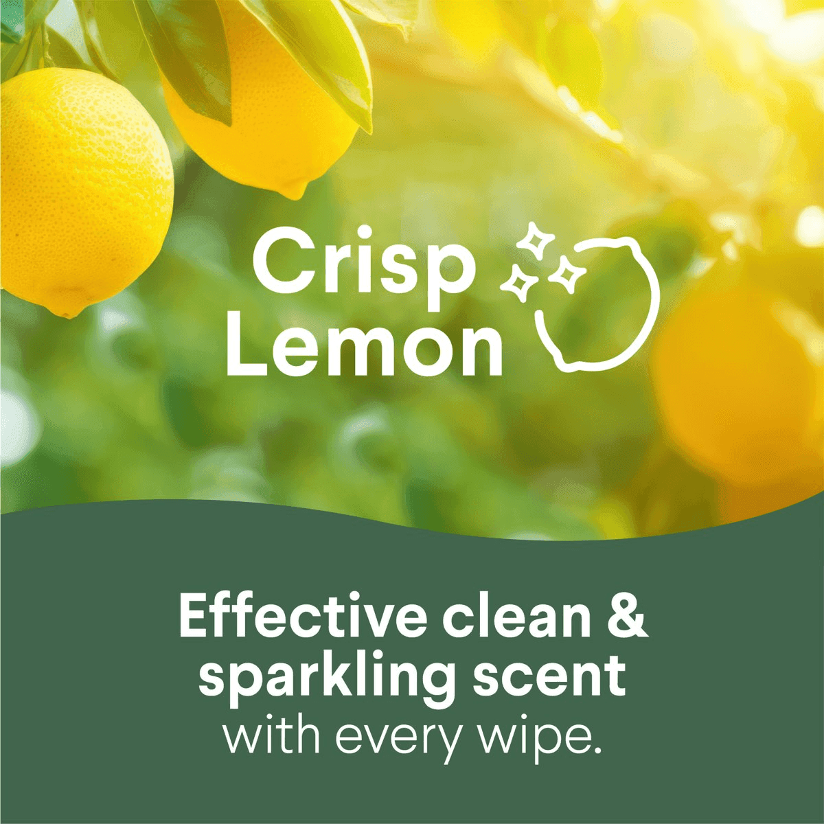 Clorox Disinfecting Cleaning Wipes Crisp Lemon 35 Count image 3