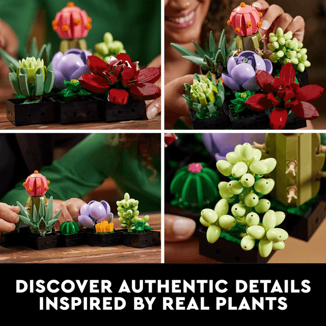 LEGO Botanicals Succulents 771-Piece Artificial Indoor Plant Set image 5