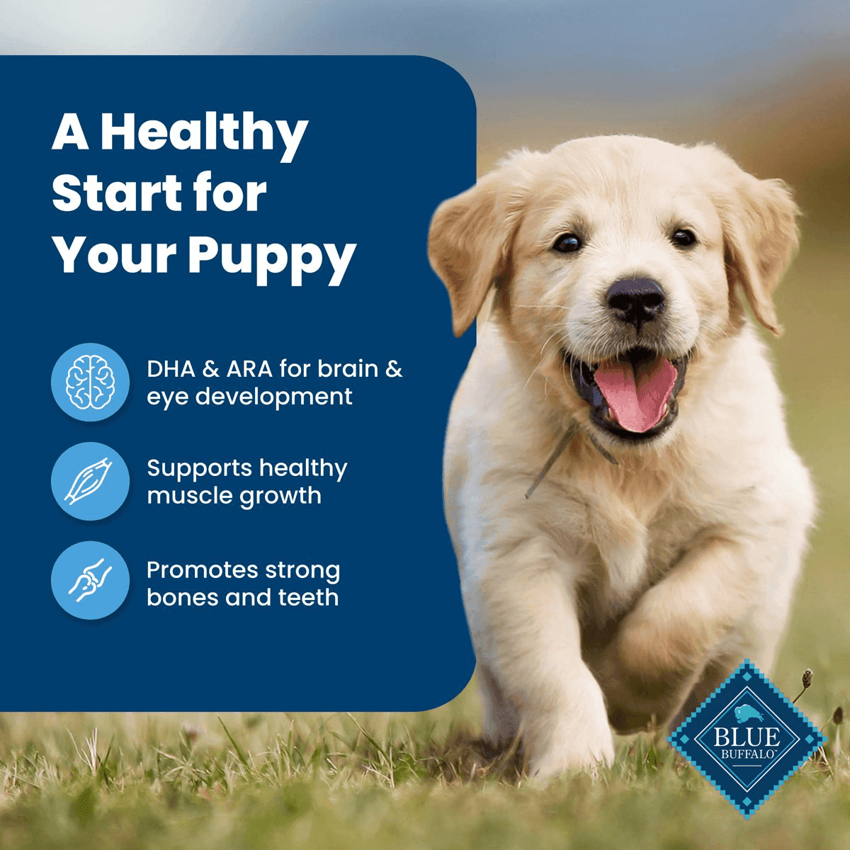Blue Buffalo Life Protection Formula Puppy Food - Chicken & Brown Rice, 5 lb image 4