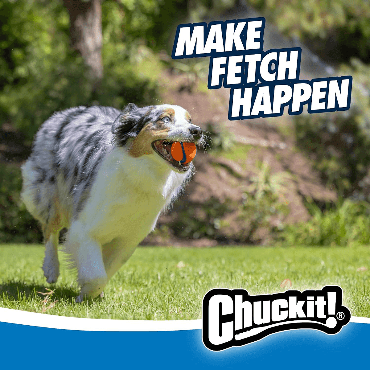 Chuckit Fetch Medley 3-Pack Dog Balls for $10.79 at Amazon image 2