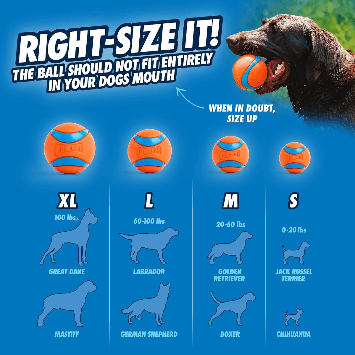 Chuckit Fetch Medley 3-Pack Dog Balls for $10.79 at Amazon image 4