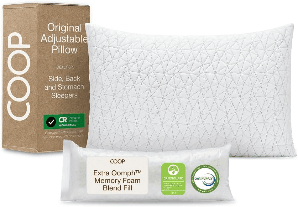 Coop Home Goods Original Adjustable Queen Pillow